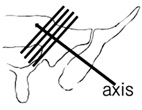 jkfs-20-115-g004.jpg