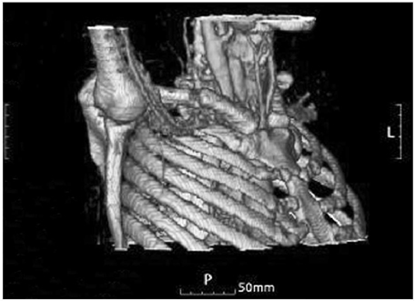 jkfs-20-86-g003.jpg