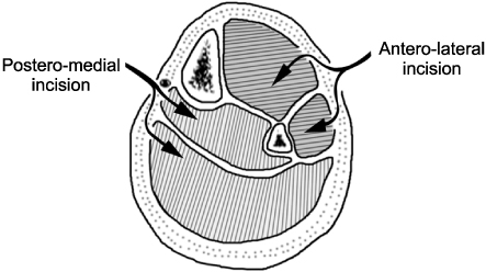jkfs-23-399-g002.jpg