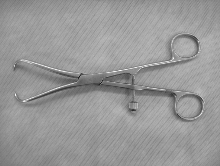 jkfs-27-144-g001.jpg