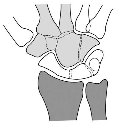 jkfs-29-93-g001.jpg