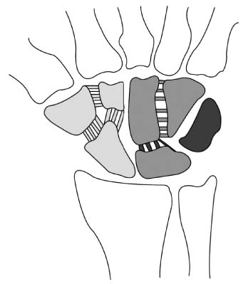 jkfs-29-93-g002.jpg