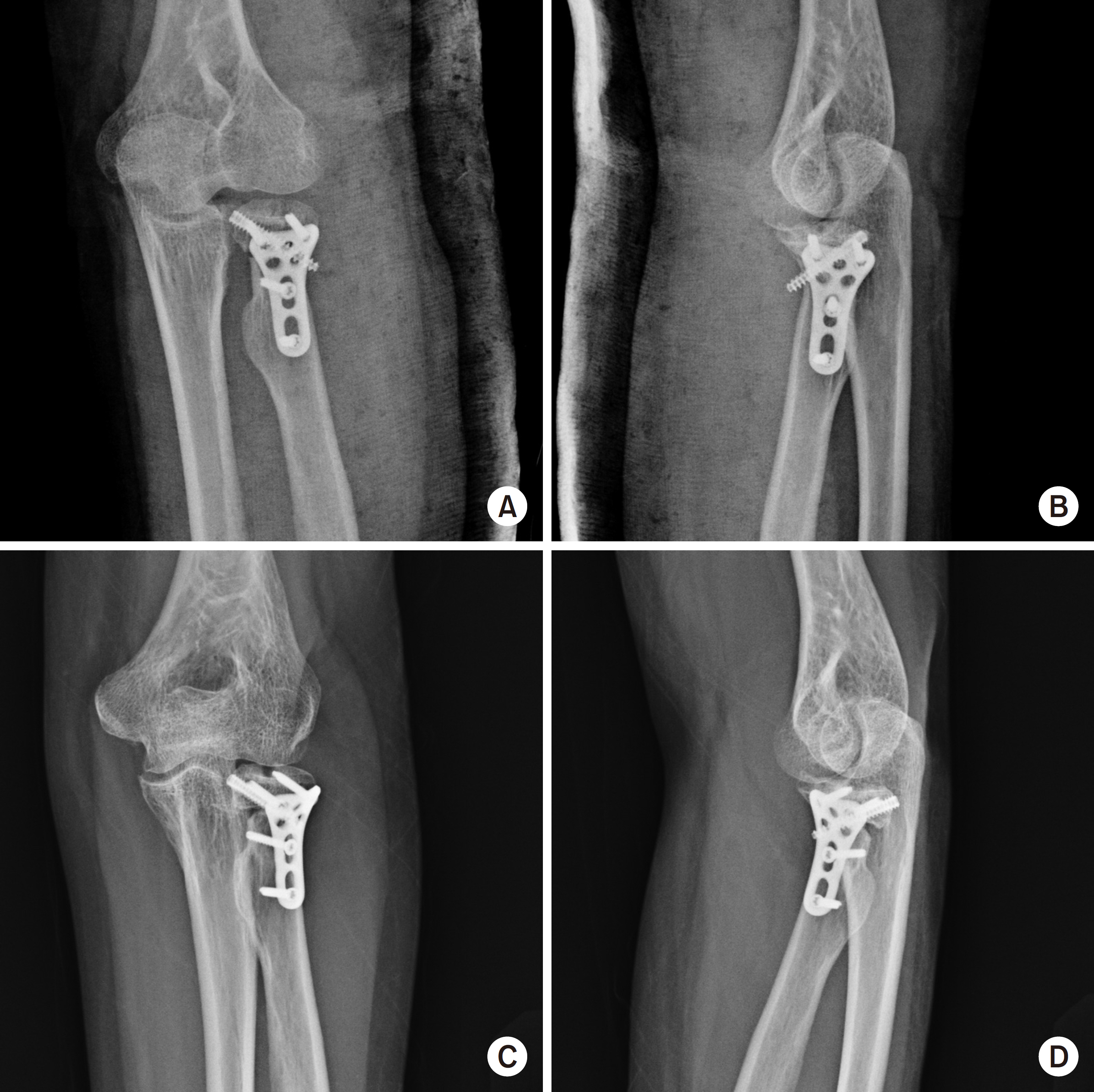 Fig. 5.