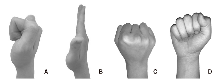 Fig. 5