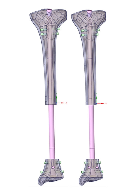 jmt-2025-00024f12.jpg