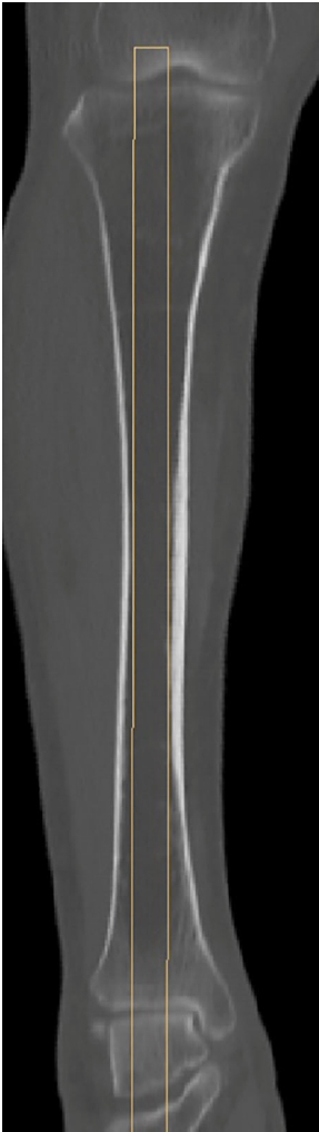 jmt-2025-00024f9.jpg
