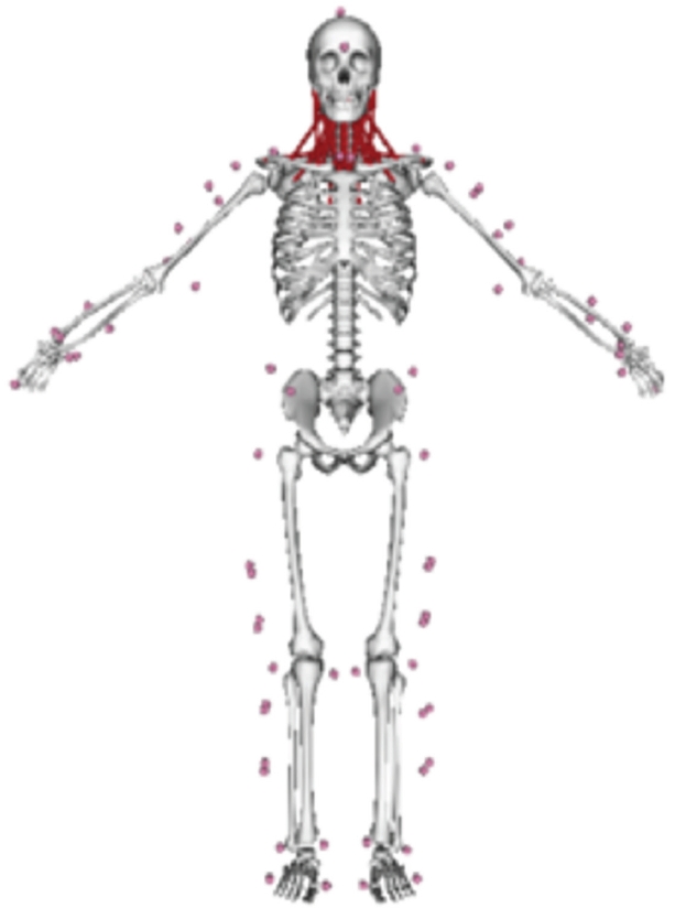 jmt-2026-00171f6.jpg