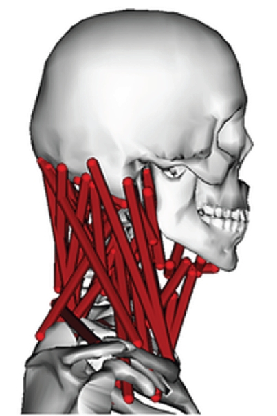 jmt-2026-00171f7.jpg